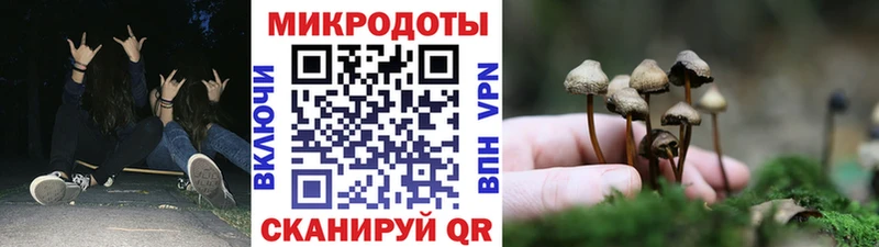 blacksprut маркетплейс  закладка  Хадыженск  Галлюциногенные грибы Psilocybine cubensis 